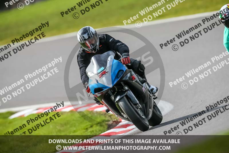 Oulton Park 21st March 2020;PJ Motorsport Photography 2020;anglesey;brands hatch;cadwell park;croft;donington park;enduro digital images;event digital images;eventdigitalimages;mallory;no limits;oulton park;peter wileman photography;racing digital images;silverstone;snetterton;trackday digital images;trackday photos;vmcc banbury run;welsh 2 day enduro